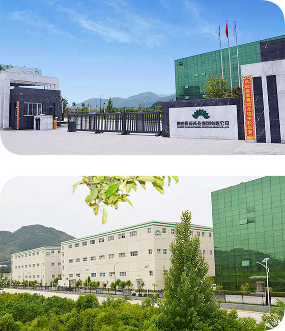 金年会金字招牌至上网站